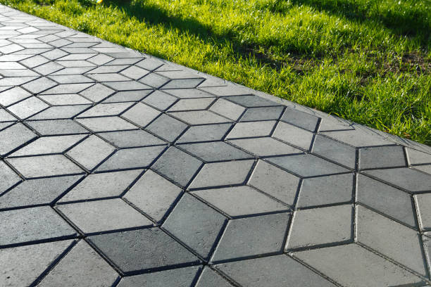 Best Local Driveway Pavers  in Spring Grove, MN